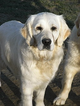 Cap may Betsy so pretty